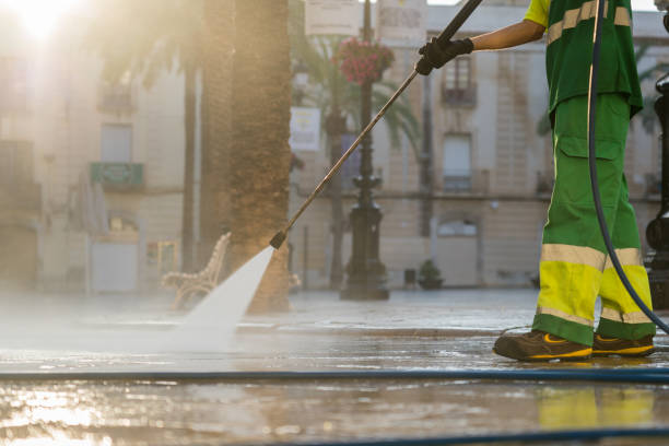 Best Dumpster Area Cleaning  in Farngton Hills, MI